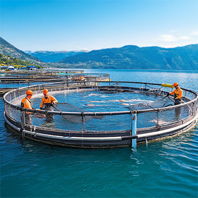 MARIN TRUST - HCPGE102