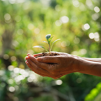 SUSTENTABILIDAD - HCPGE106