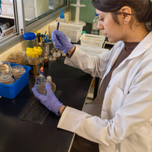 Preparación mecánica de muestras