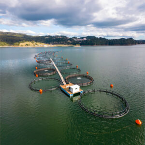 BEST AQUACULTURE PRACTICES (BAP) – CONTROL DE CULTIVOS